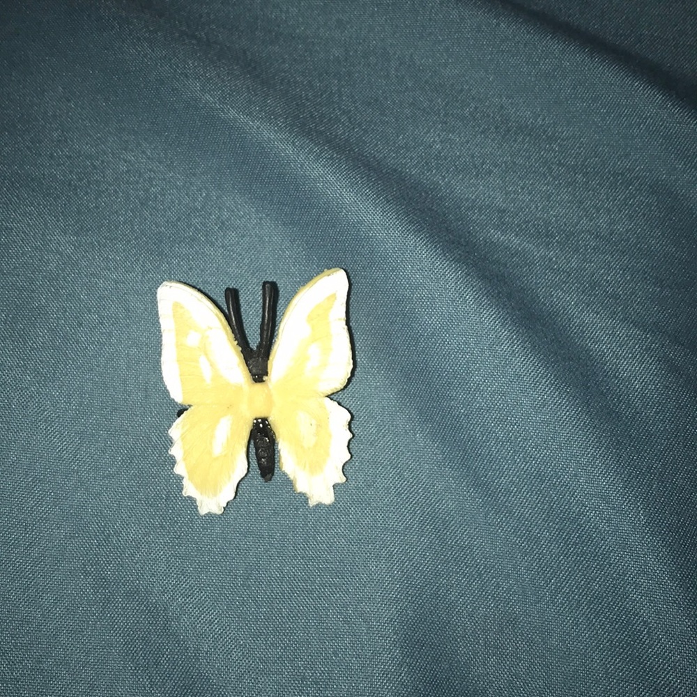 A butterfly